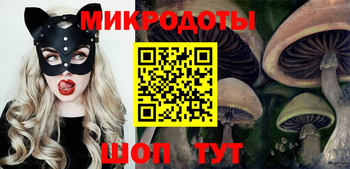 Псилоцибиновые грибы Cubensis  Псилоцибиновые грибы MAGIC MUSHROOMS  Киселёвск  Вход с VPN 
